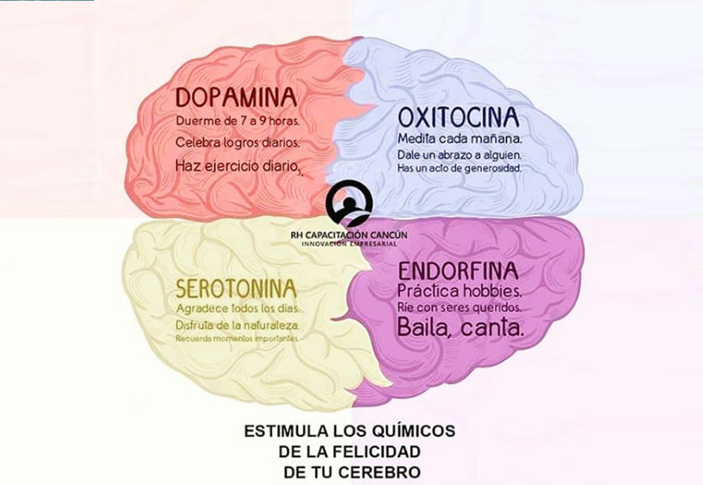  Neuroplasticidad